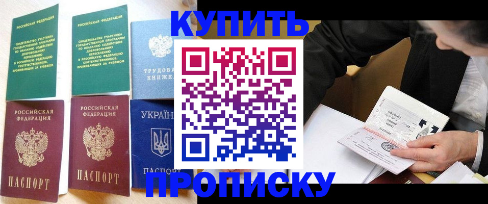 прописка для школы в Домодедово